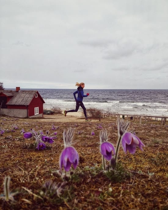 Österlen Spring Trail - Blümchen