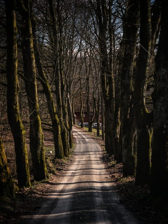 OUTDOOR & AKTIV IN SKANE SCHWEDEN 19 OUTDOOR & AKTIV IN SKANE SCHWEDEN 17