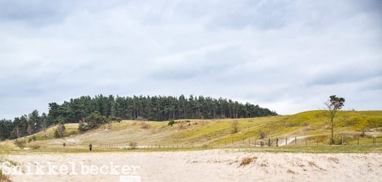 Österlen Spring Trail - unendliche Weite