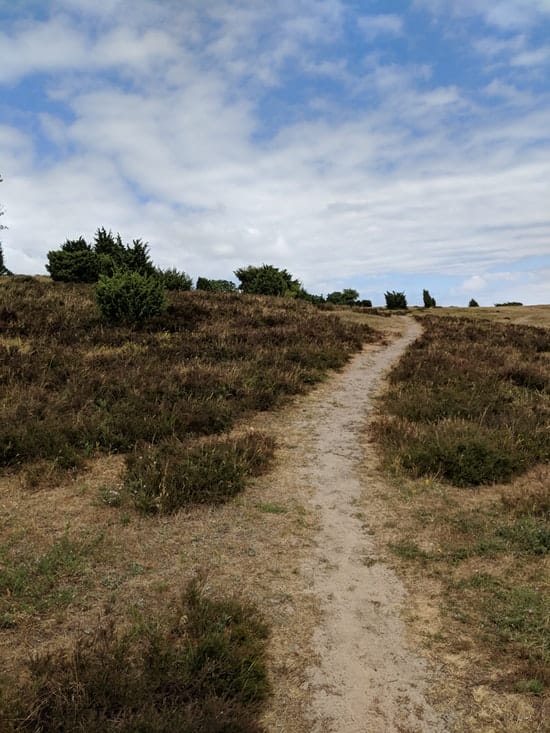 Österlen Spring Trail - Strecke