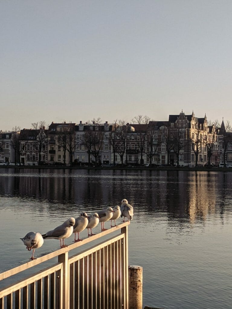 SCHWERINER FÜNF-SEEN-LAUF: 30 UNVERGESSLICHE KILOMETER 4