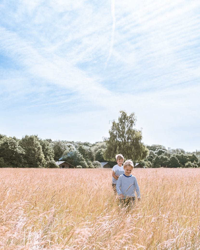 PHOTOGRAPHY TIPS: 7 PHOTOGRAPHERS SHARE THEIR TIPS TO INSTANTLY TAKE BETTER PHOTOS 8 Ernte - Steppe