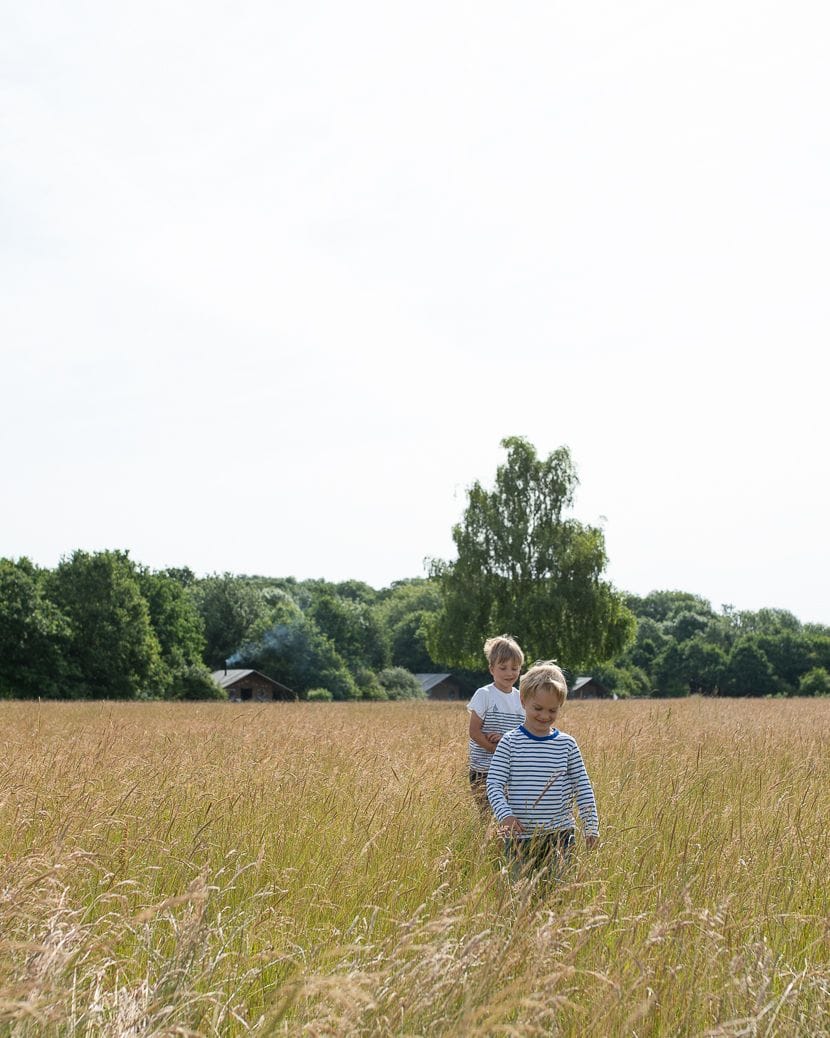 PHOTOGRAPHY TIPS: 7 PHOTOGRAPHERS SHARE THEIR TIPS TO INSTANTLY TAKE BETTER PHOTOS 7 Steppe - Wiese