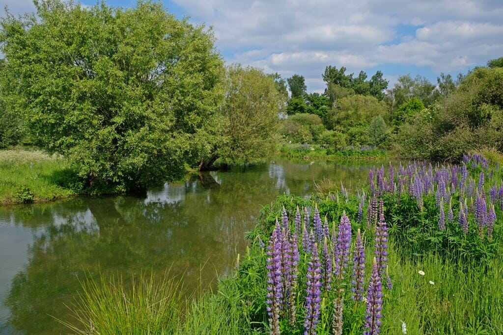 AUSFLUGSZIELE NRW - 15+ SCHÖNE ORTE UND FANTASTISCHE IDEEN FÜR UNTERNEHMUNGEN IN NRW 7