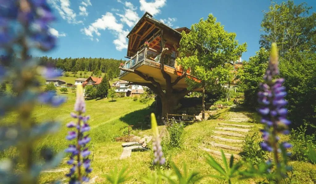 Ausflugsziele Baden Württemberg -  Region Baiersbronn im Schwarzwald - Reise - Natur