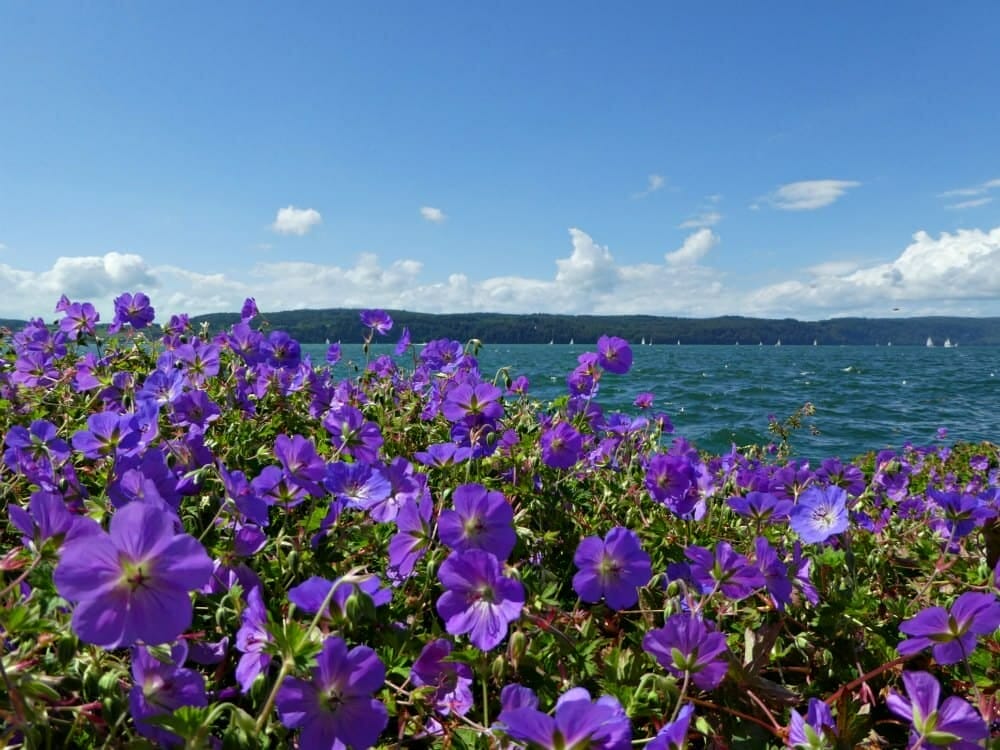 AUSFLUGSZIELE BADEN-WÜRTTEMBERG - ENTDECKE 11 TRAUMHAFTE ORTE 7