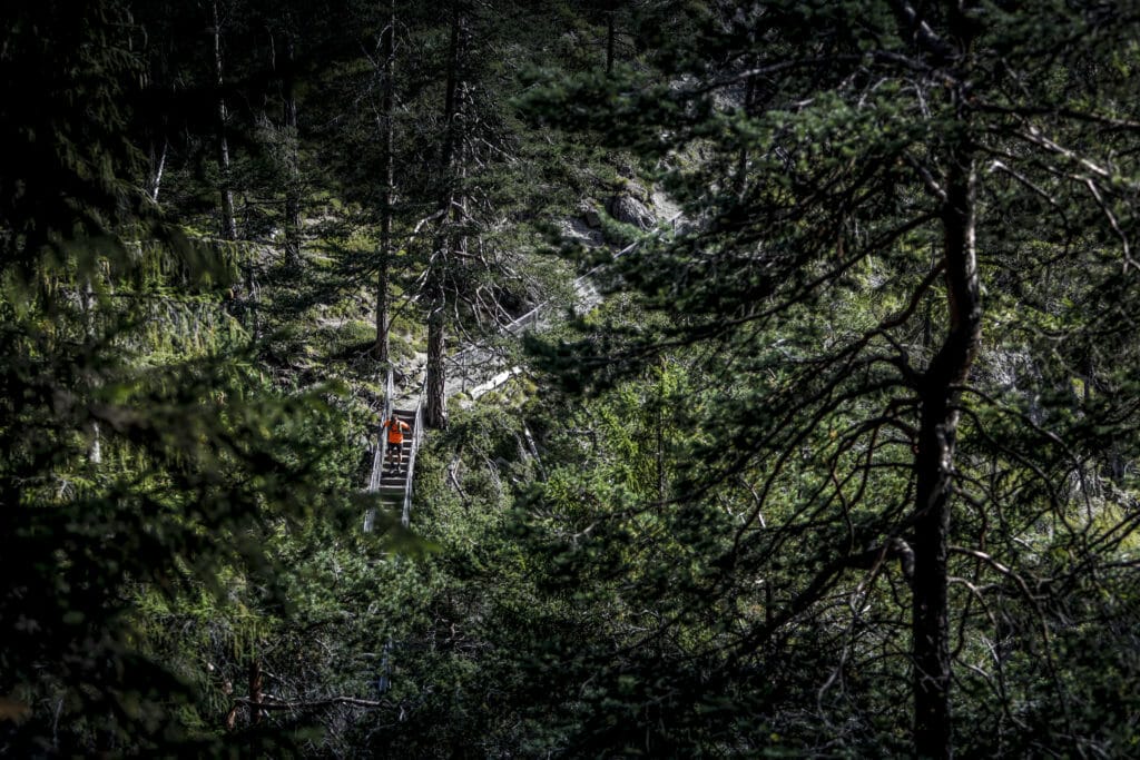 STARKENBERGER HOMERUN - GLEICH MEHRERE PREMIEREN BEIM TRAILRUNNING IN IMST / TIROL 4