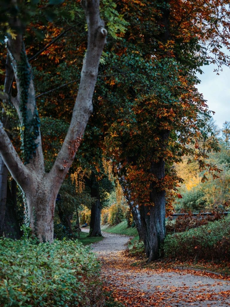 Plön Sehenswürdigkeiten: 10 Ultimative Sehenswürdigkeiten und Fotospots für jede Jahreszeit 22