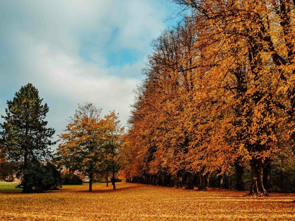 Der Schlossgarten leuchtet in den schönsten Herbstfarben - Sehenswürdigkeiten Plön 