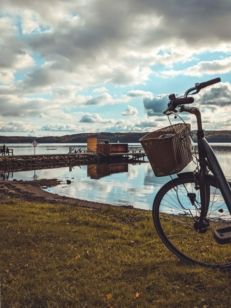 Mountainbike - Fahrrad