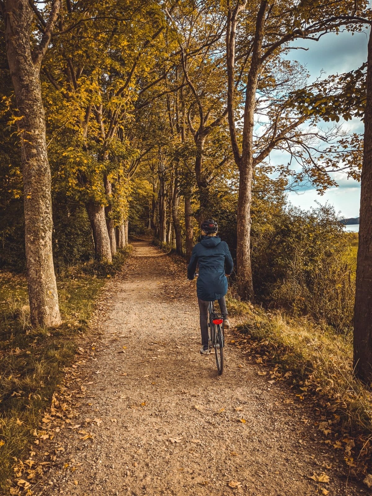 Fahrrad - Cyclo-Cross