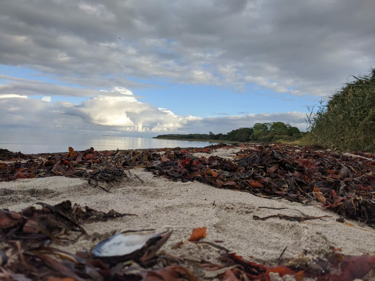 URLAUB DÄNEMARK - UNBEZAHLBARE FAMILIENMOMENTE IM FERIENHAUS 21 URLAUB DÄNEMARK - UNBEZAHLBARE FAMILIENMOMENTE IM FERIENHAUS 16