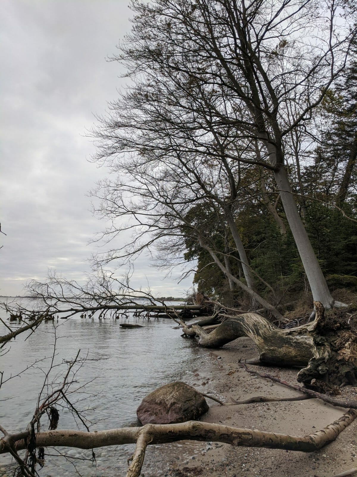 URLAUB DÄNEMARK - UNBEZAHLBARE FAMILIENMOMENTE IM FERIENHAUS 13 URLAUB DÄNEMARK - UNBEZAHLBARE FAMILIENMOMENTE IM FERIENHAUS 8
