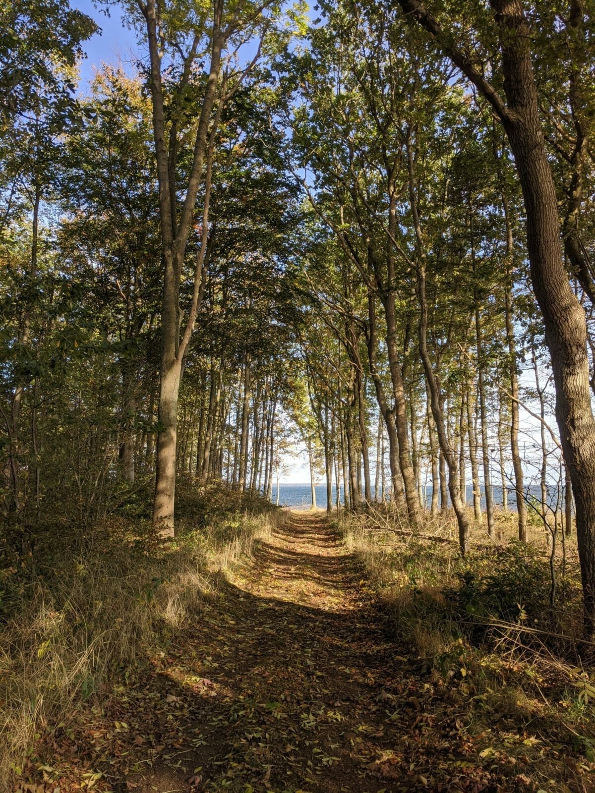 URLAUB DÄNEMARK - UNBEZAHLBARE FAMILIENMOMENTE IM FERIENHAUS 18 URLAUB DÄNEMARK - UNBEZAHLBARE FAMILIENMOMENTE IM FERIENHAUS 13