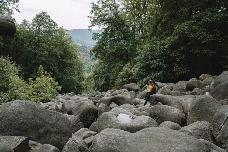 AUSFLUGSZIELE HESSEN - 7 FASZINIERENDE IDEEN FÜR DICH 6