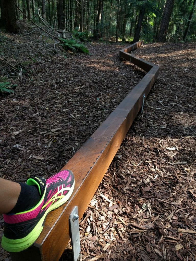 TRIMM DICH PFAD - WIE DER HYPE DER 70ER JAHRE DEIN TRAINING AUCH HEUTE SINNVOLL AUFPEPPT 1