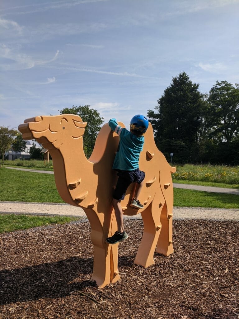 Trimm Dich Pfad - Kletterkamel