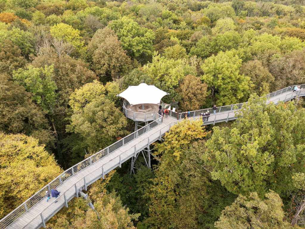Baumkronenpfad Hainich - Ausflugsziele Thüringen