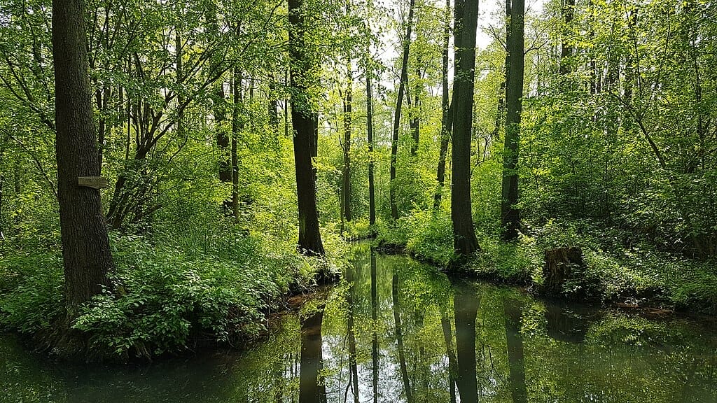Ausflugsziele Brandenburg - Spreewald