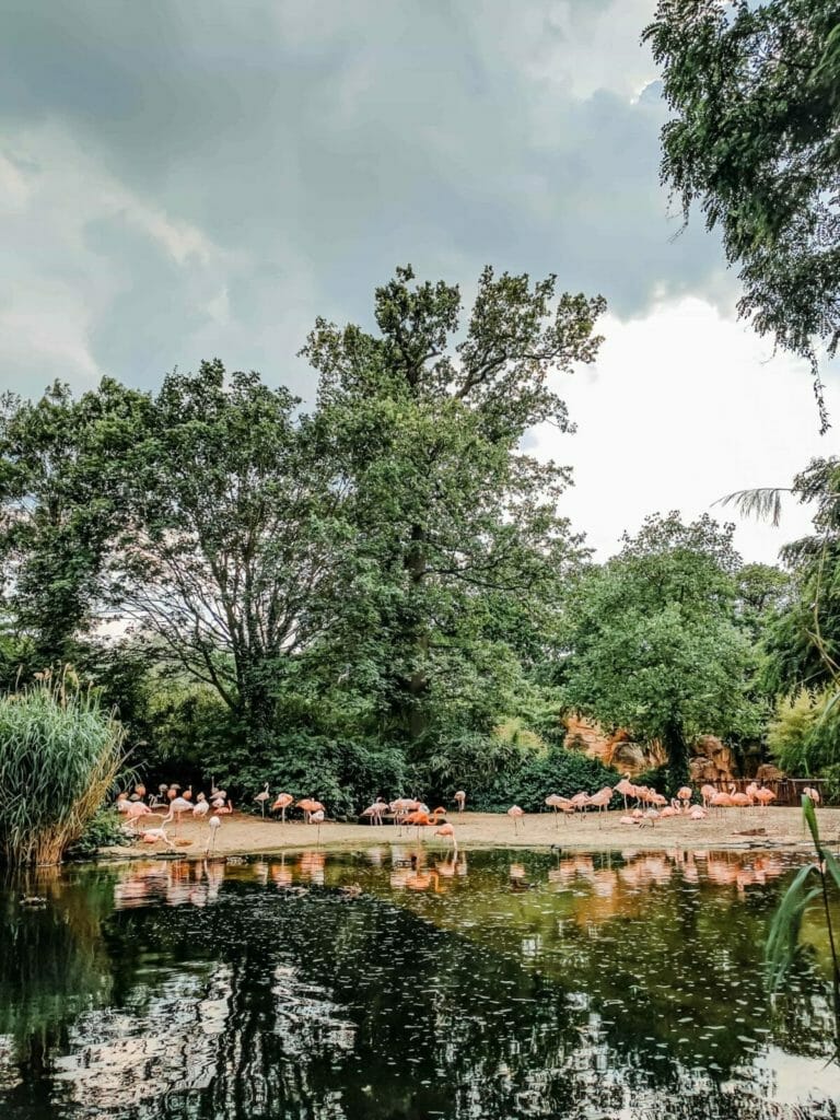 AUSFLUGSZIELE NIEDERSACHSEN - 25+ IDEEN FÜR AUSFLÜGE & ME(E)HR 15 Ausflugsziele Niedersachsen