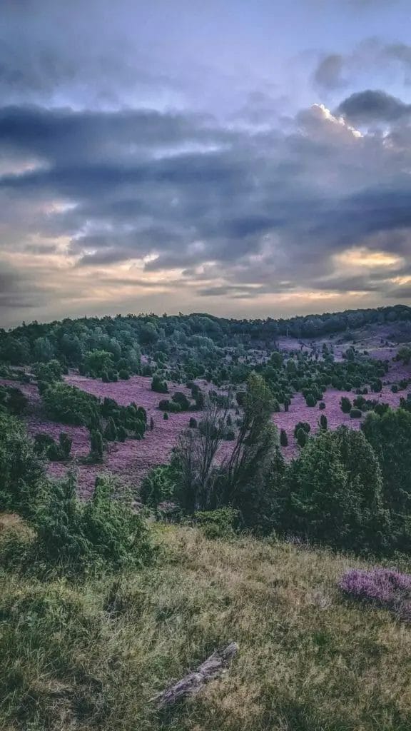 Ausflugsziele Niedersachsen - Totengrund in der Lüneburger Heide