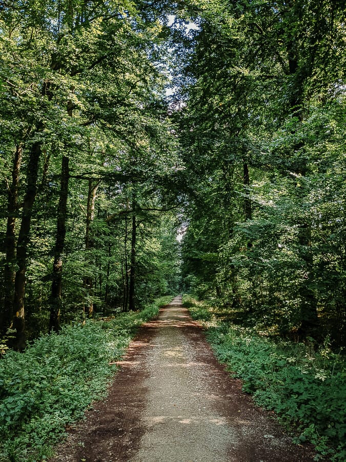 EINBECK SEHENSWÜRDIGKEITEN - 15 HIGHLIGHTS & AKTIVITÄTEN IN DER BIERSTADT 31 EINBECK SEHENSWÜRDIGKEITEN - 15 HIGHLIGHTS & AKTIVITÄTEN IN DER BIERSTADT 30