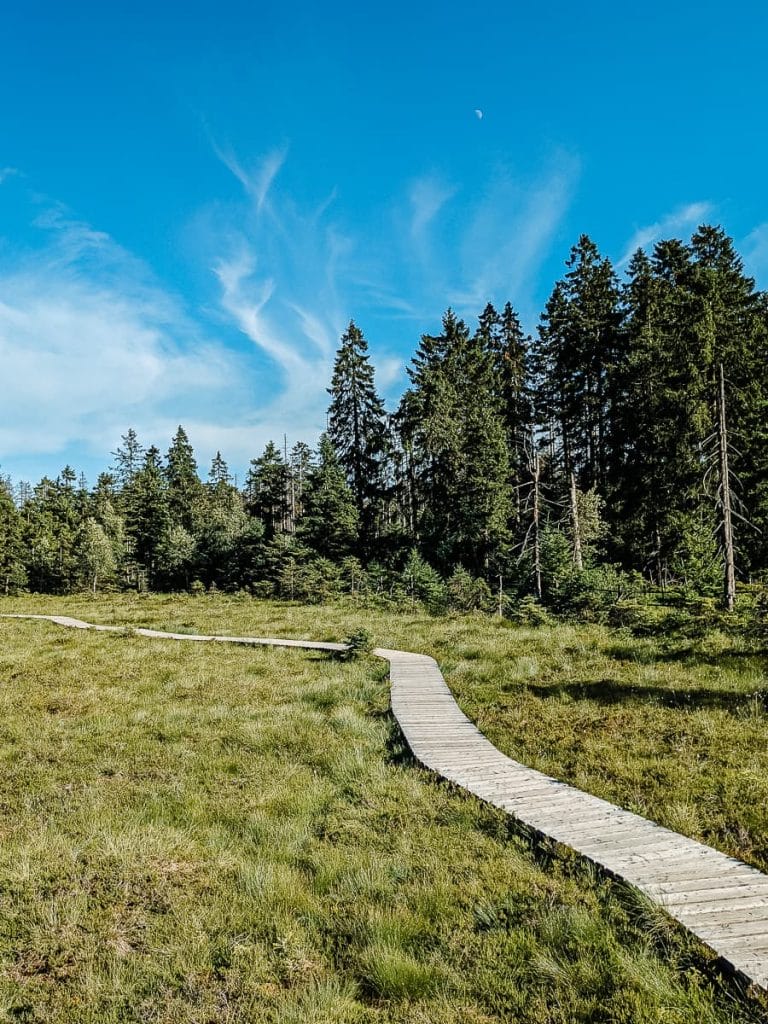 WERNIGERODE IM HARZ: DIE SCHÖNSTEN SEHENSWÜRDIGKEITEN UND AUSFLUGSZIELE 10