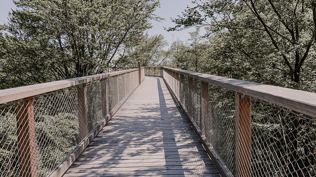 13 AUSFLUGSZIELE MV UND SEHENSWÜRDIGKEITEN IN MECKLENBURG-VORPOMMERN 21 13 AUSFLUGSZIELE MV UND SEHENSWÜRDIGKEITEN IN MECKLENBURG-VORPOMMERN 19