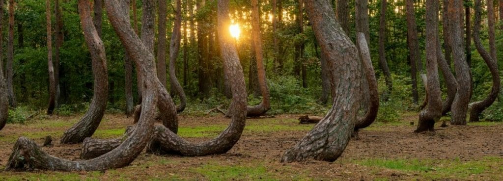30 POLEN SEHENSWÜRDIGKEITEN & ORTE FÜR EINEN AUFREGENDEN URLAUB 18