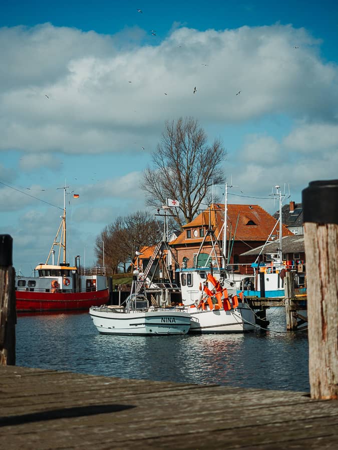 STADT KAPPELN: SEHENSWÜRDIGKEITEN & AUSFLÜGE IN DER SCHLEI-REGION 8 Maasholm Hafen - Ostseefjord - Meer