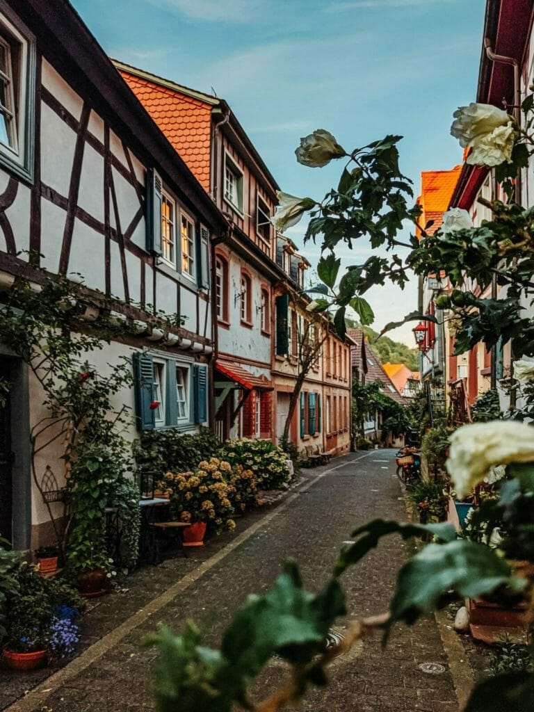 15 SCHÖNE STÄDTE IN HESSEN, DIE DU UNBEDINGT BESUCHEN SOLLTEST 13