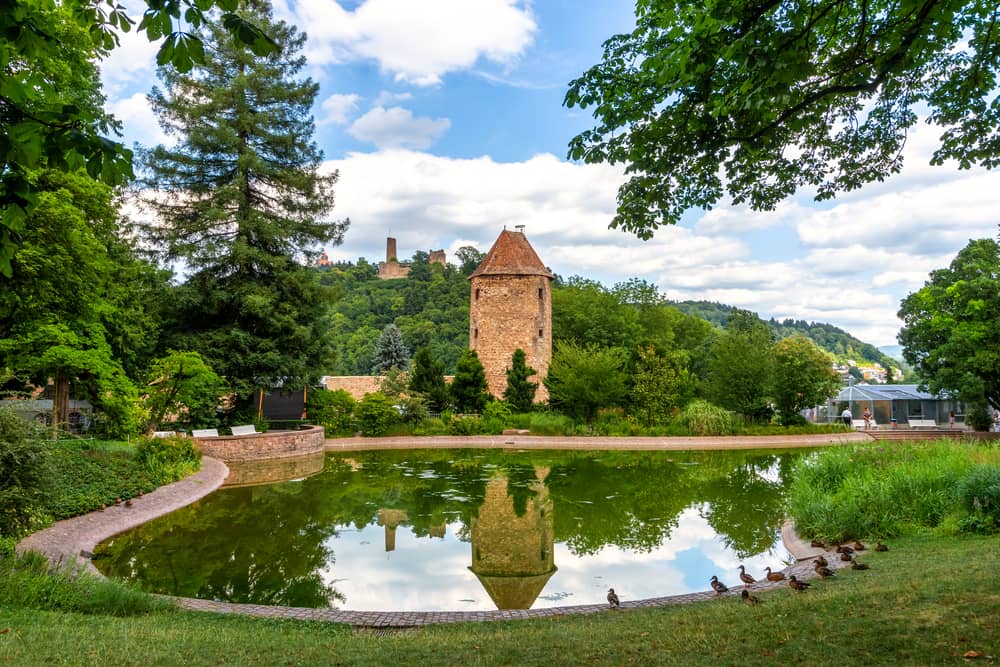 Sehenswürdigkeiten im Odenwald: Ausflugsziele & Aktivitäten 15