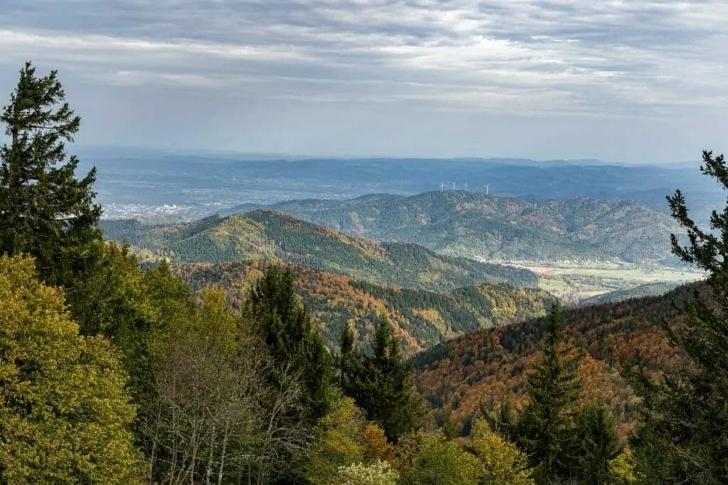 DIE TOP 13 FREIBURG SEHENSWÜRDIGKEITEN - ENTDECKE DIE BESTEN ATTRAKTIONEN IM MAGISCHEN BREISGAU 14