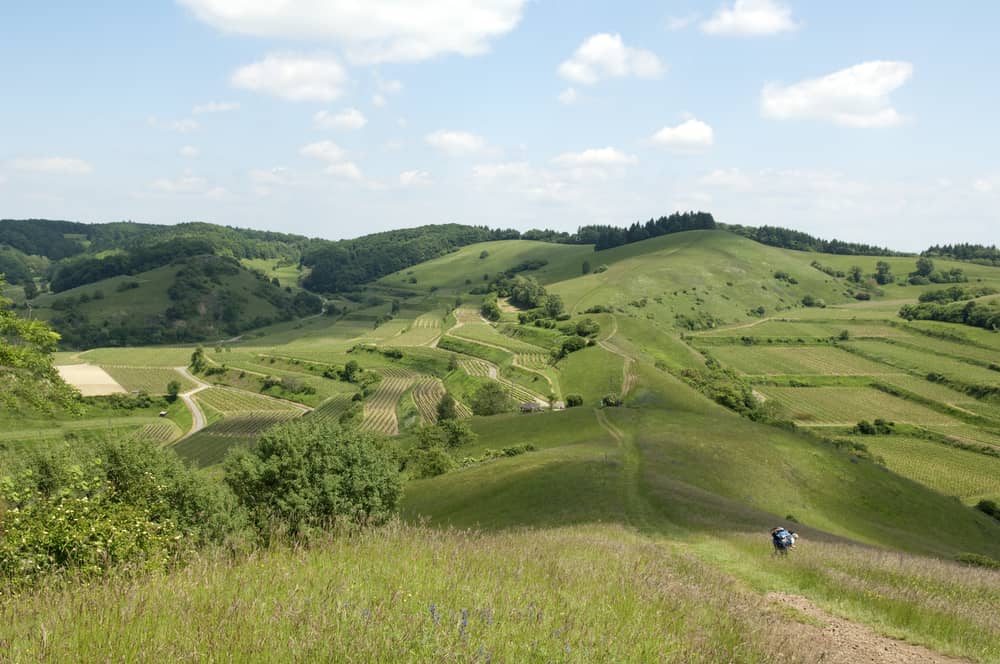 Wandern auf dem Badberg - Kaiserstuhl Sehenswürdigkeiten