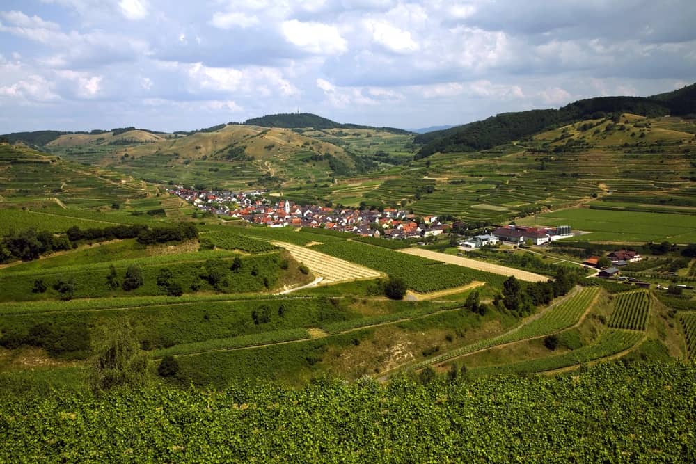 Ausblick vom Aussichtspunkt Mondhalde - Kaiserstuhl Sehenswürdigkeiten