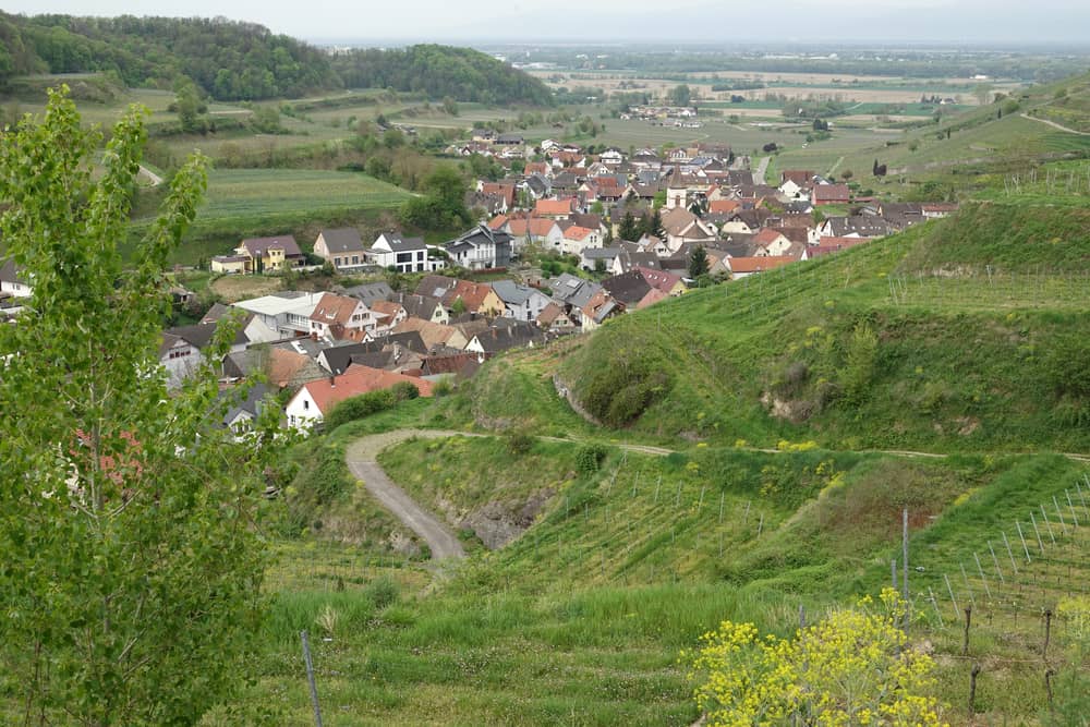 Ausflug nach Vogtsburg - Kaiserstuhl Sehenswürdigkeiten
