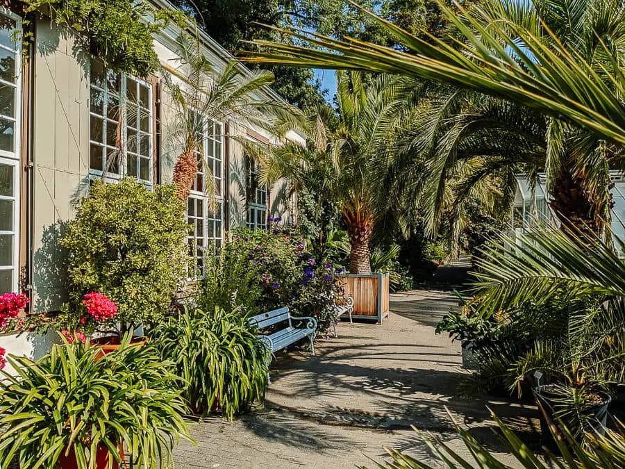 DIE 15 BESTEN MÜNSTER SEHENSWÜRDIGKEITEN, AUSFLUGSZIELE & AKTIVITÄTEN 14 Der ans Schloss angeschlossene Botanische Garten in Münster - Münster Sehenswürdigkeiten