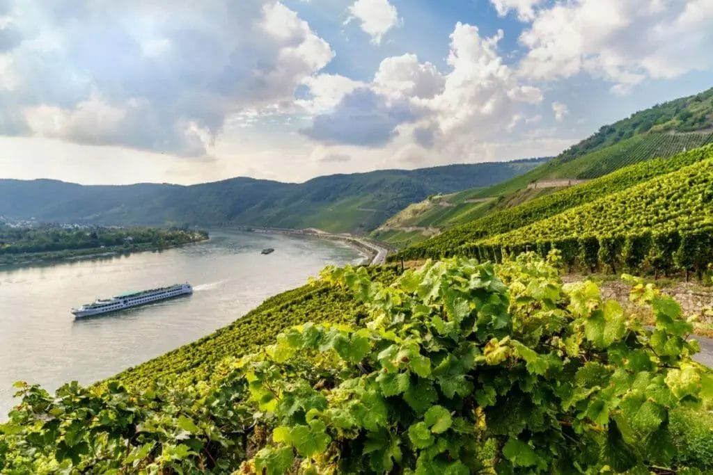 Weinanbaugebiet Bopparder Hamm - Boppard Sehenswürdigkeiten