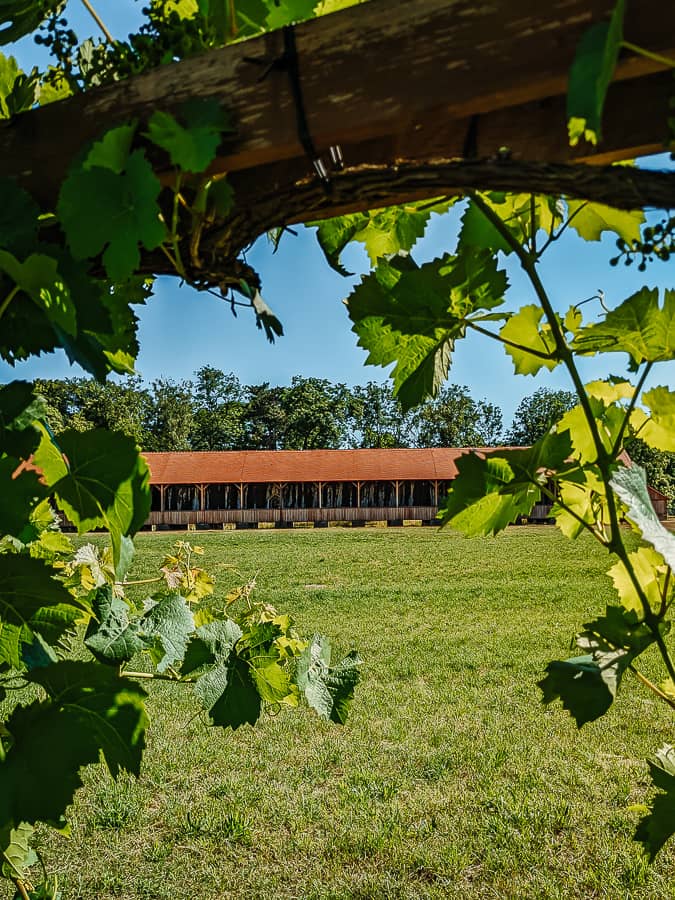 14 EINZIGARTIGE AUSFLUGSZIELE UND SEHENSWÜRDIGKEITEN IN DER SAALE-UNSTRUT REGION 31