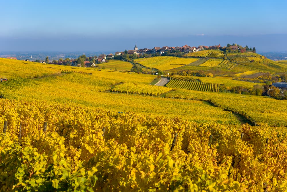 Elsasser Weinstraße - Elsass Sehenswürdigkeiten