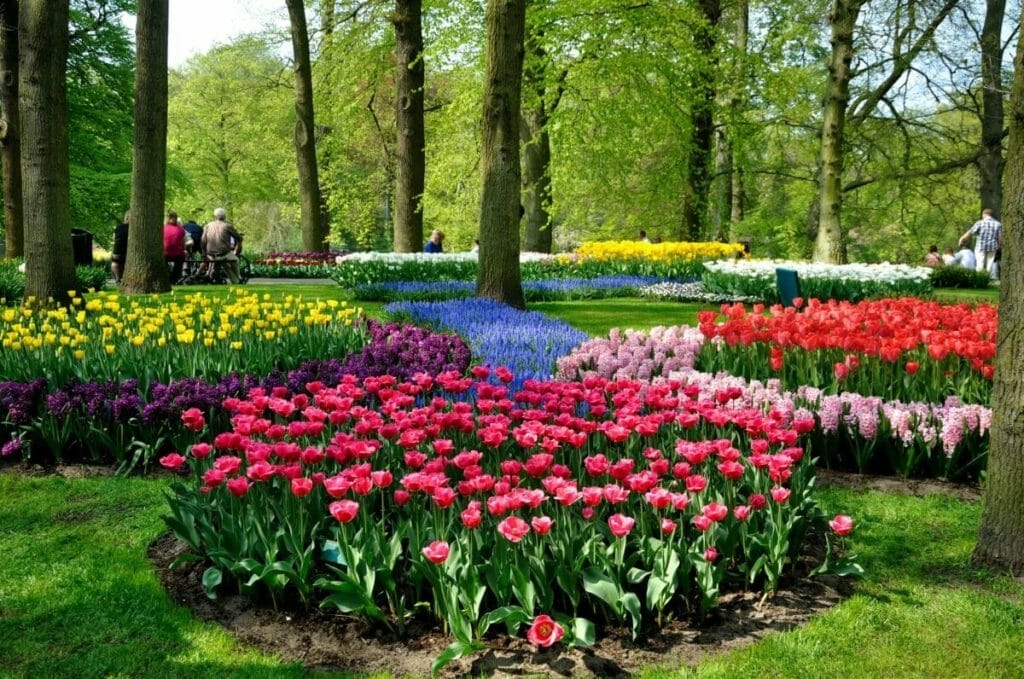 Blumenpark Keukenhof - Niederlande Sehenswürdigkeiten