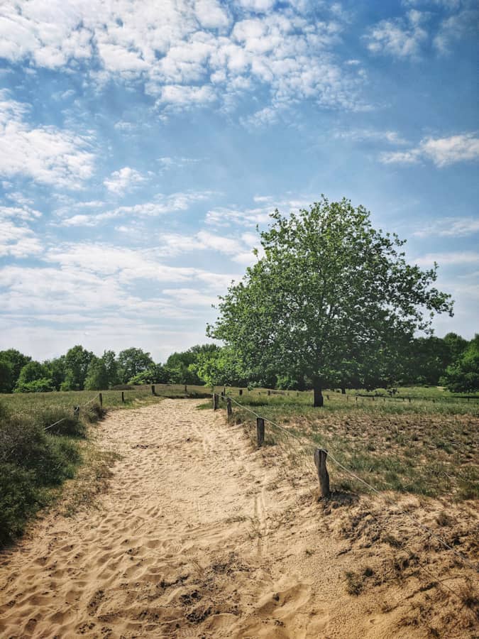 Boberger Düne in Hamburg - Ausflugsziele in Hamburg