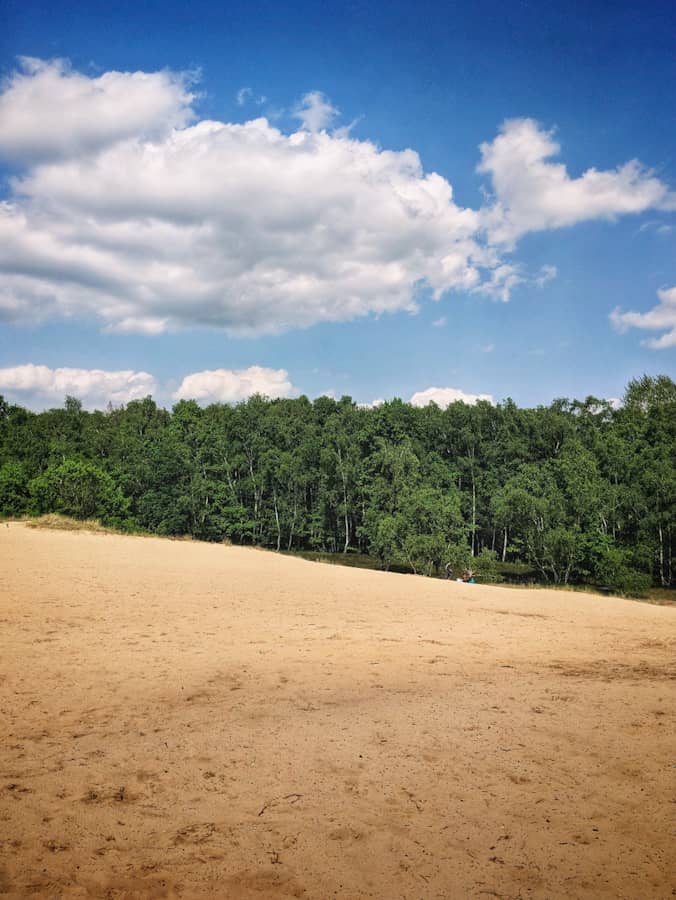 Boberger Düne in Hamburg - Ausflugsziele Hamburg
