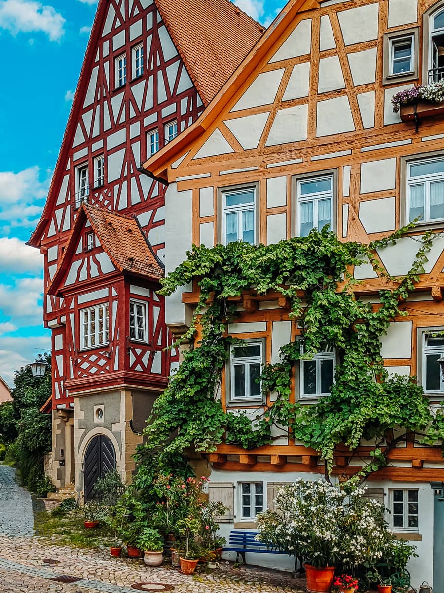 Fachwerkhäuser mit Grünbewuchs an den Fassaden - Sehenswürdigkeiten in Bad Wimpfen