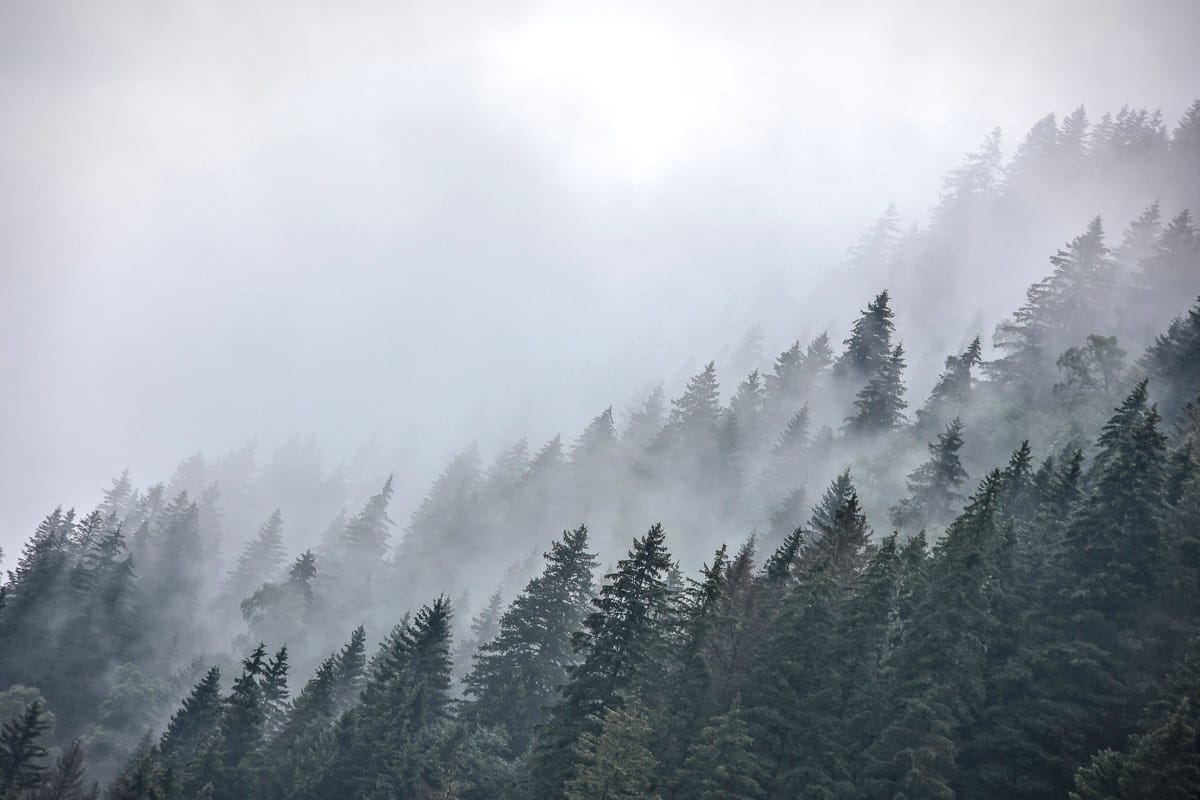 GROSSGLOCKNER ULTRA TRAIL: HALLO ANGST, WIR MÜSSEN REDEN! HALLO MUT, KOMM GERN DAZU! 17 Großglockner Ultra Trail morning mood