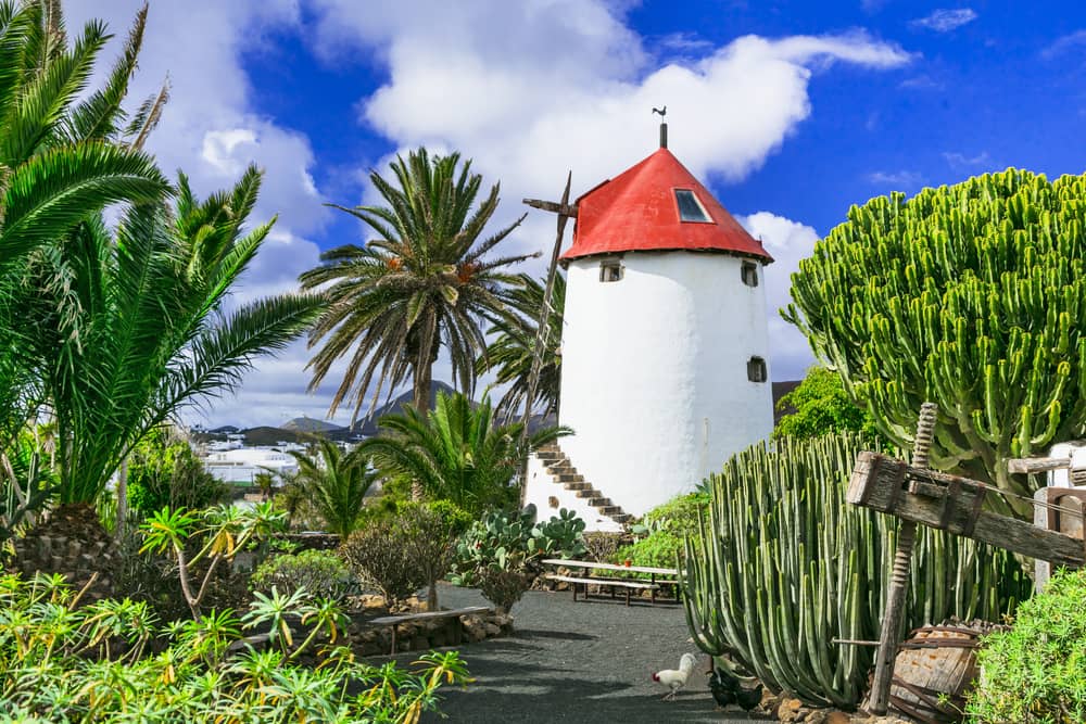 Windmühle im Jardin de Cactus - Lanzarote Sehenswürdigkeiten