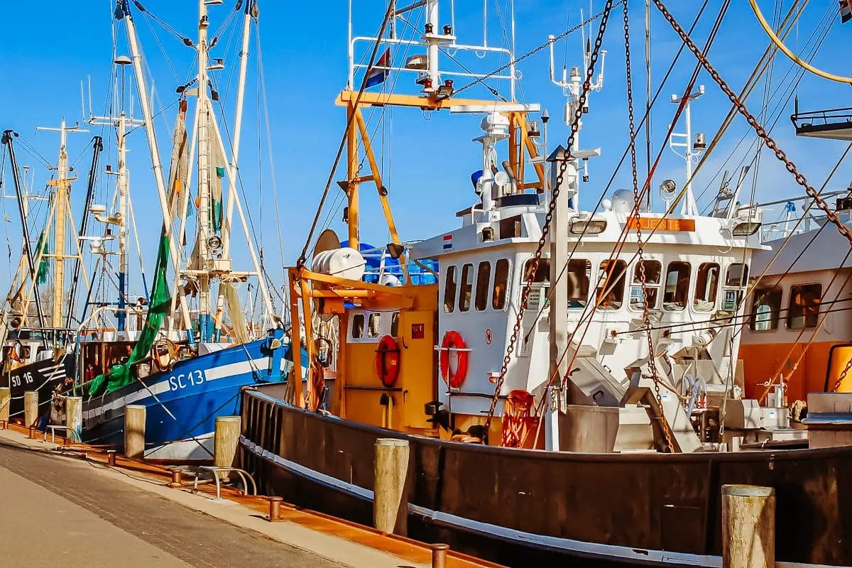 Husum Sehenswürdigkeiten 15 Tipps für Altstadt & Umgebung