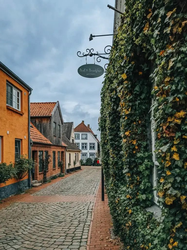 Überwachsene Fassade - Schleswig Sehenswürdigkeiten