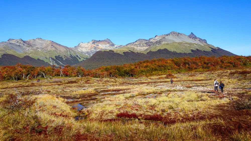 Wunderschöne Landschaft im Nationalpark Feuerland in Patagonien- Chile Sehenswürdigkeiten