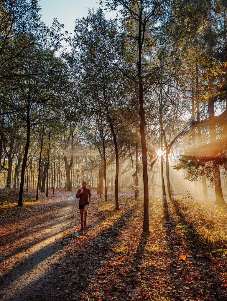 48 STUNDEN IN DER PROVINZ NORDBRABANT IN DEN NIEDERLANDEN - EIN BESUCH IN TILBURG & EINDHOVEN 7 Morning Run durch den Oude Warande bei verzauberndem Morgenlicht - Provinz Nordbrabant - Tilburg
